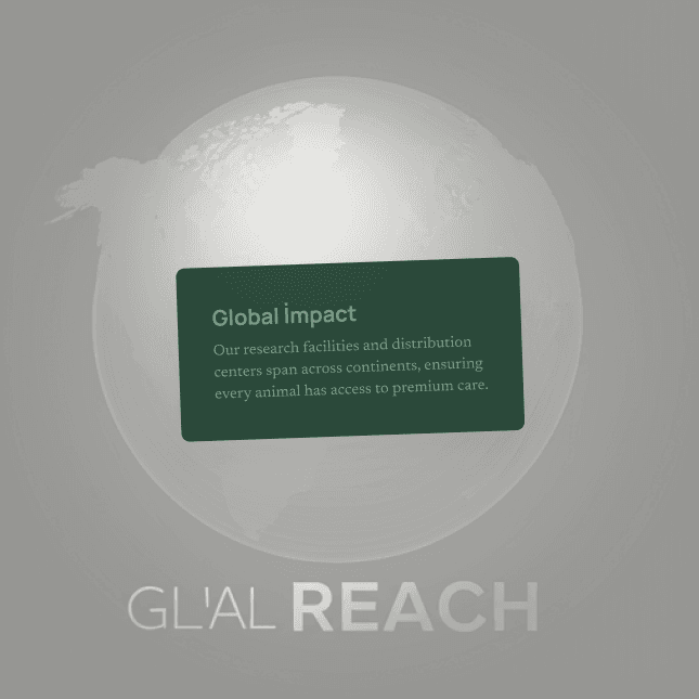 Global reach illustration showing Maxwell Animal Health's worldwide presence